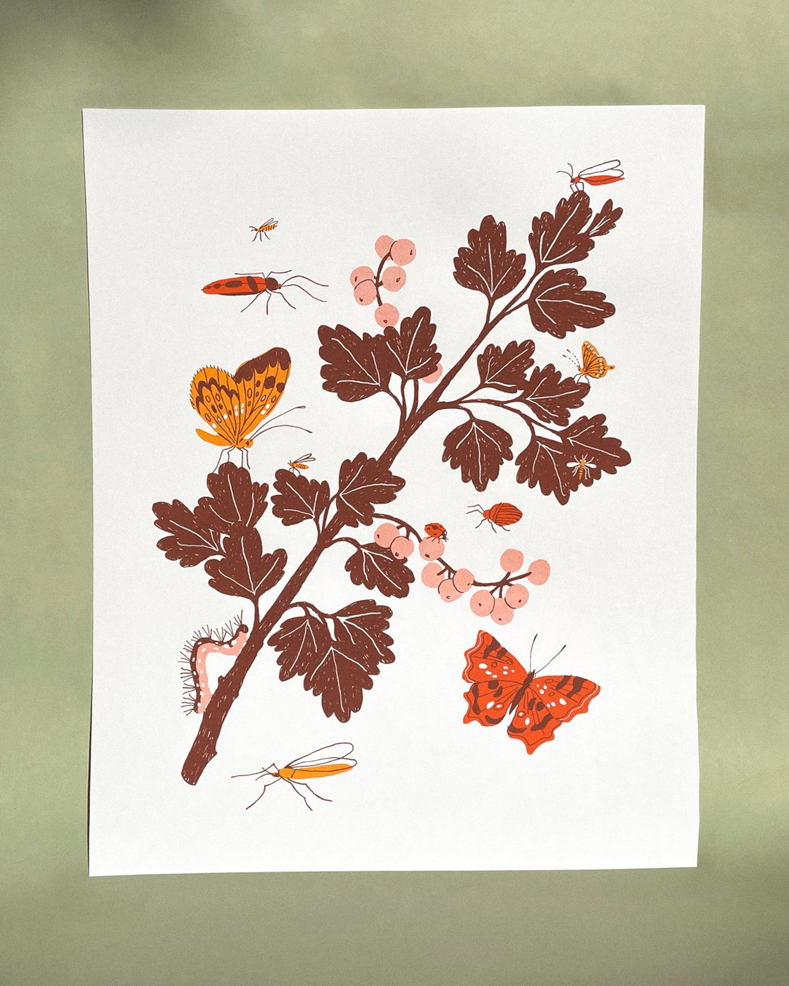 Image of Ribes Screen Print