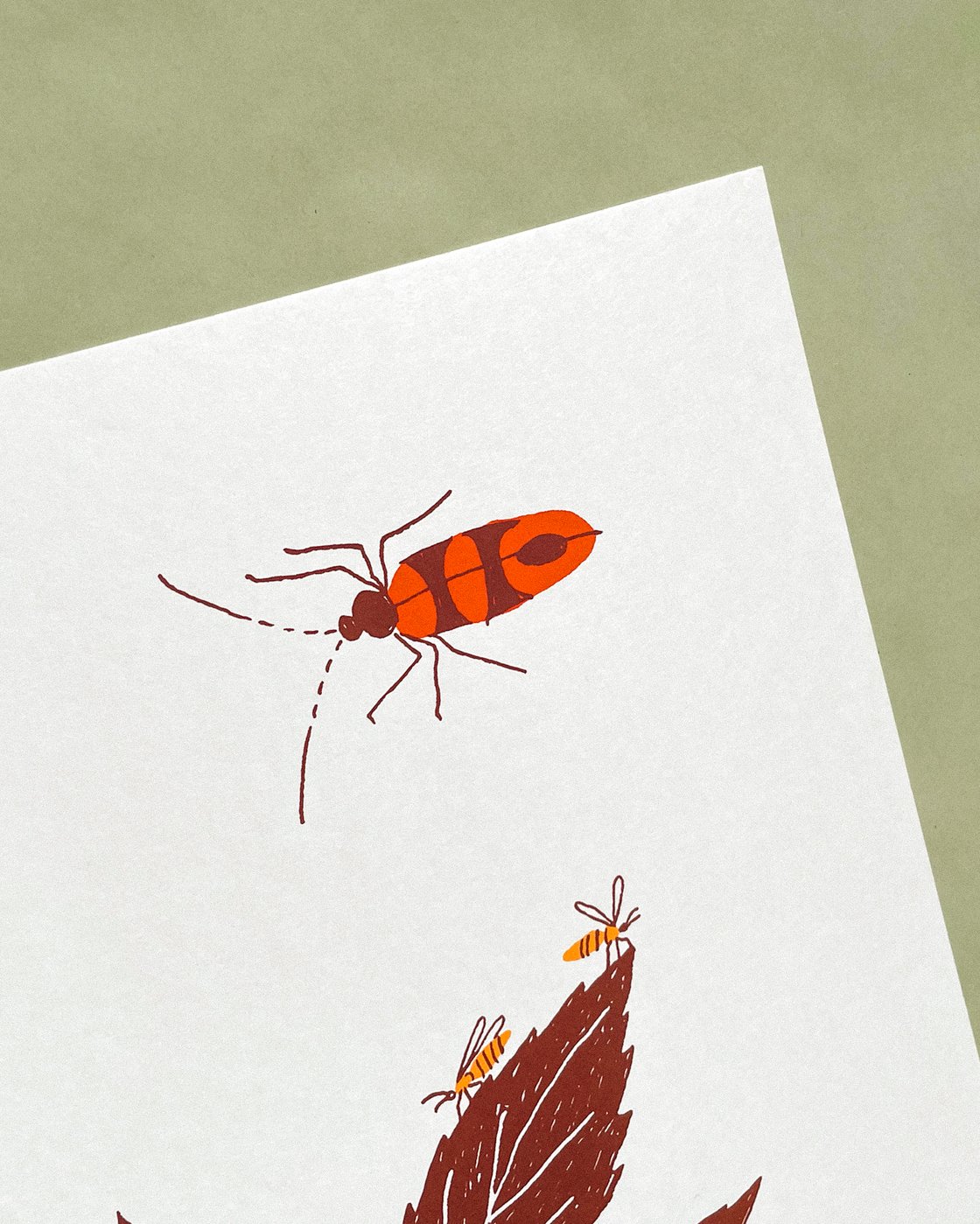 Image of Sambucus Screen Print