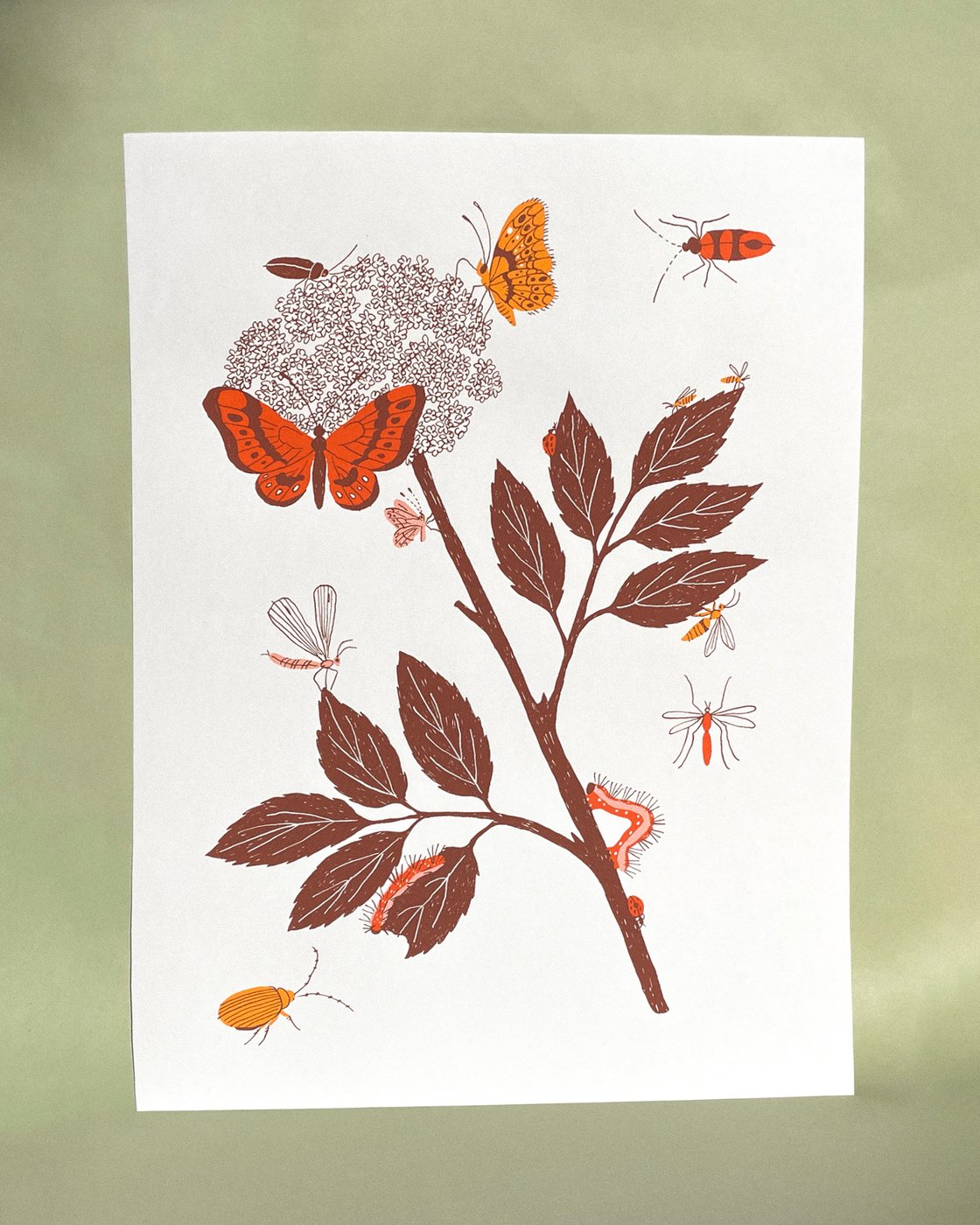 Image of Sambucus Screen Print