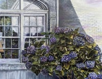 Madge's Hydrangeas - Prints