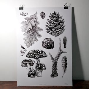 Image of Forest Crap - A3 Print