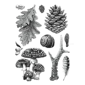 Image of Forest Crap - A3 Print
