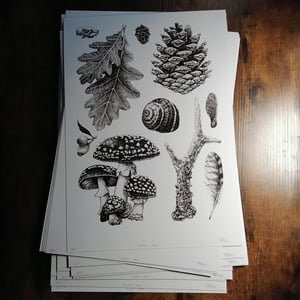 Image of Forest Crap - A3 Print