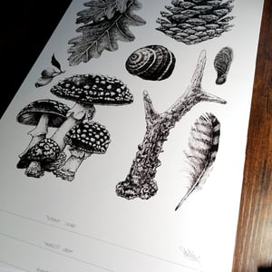 Image of Forest Crap - A3 Print