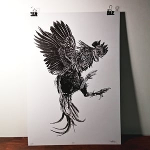 Image of BBC  - A3 Print