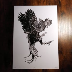 Image of BBC  - A3 Print