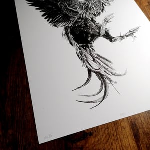Image of BBC  - A3 Print