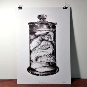 Image of The Danger Noodle - A3 Print