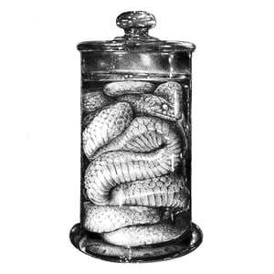 Image of The Danger Noodle - A3 Print