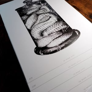Image of The Danger Noodle - A3 Print