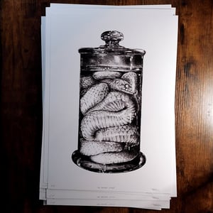 Image of The Danger Noodle - A3 Print