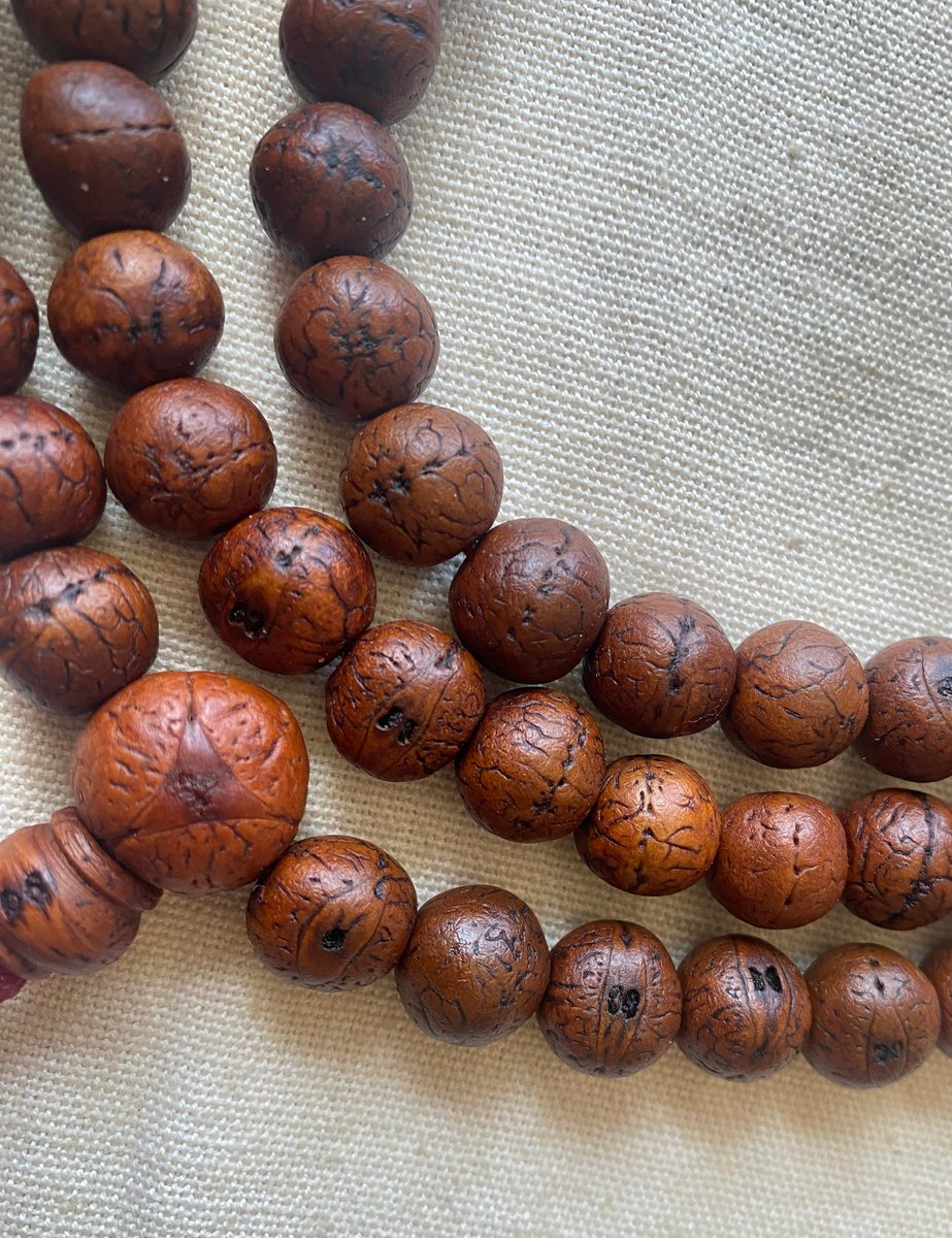 Authentic Timal Bodhi Seed Mala • 108 beads • 11mm to 12mm • Rare Locality  • M7D1