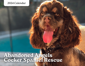 Image of 2024 AACSR Rescue Calendar