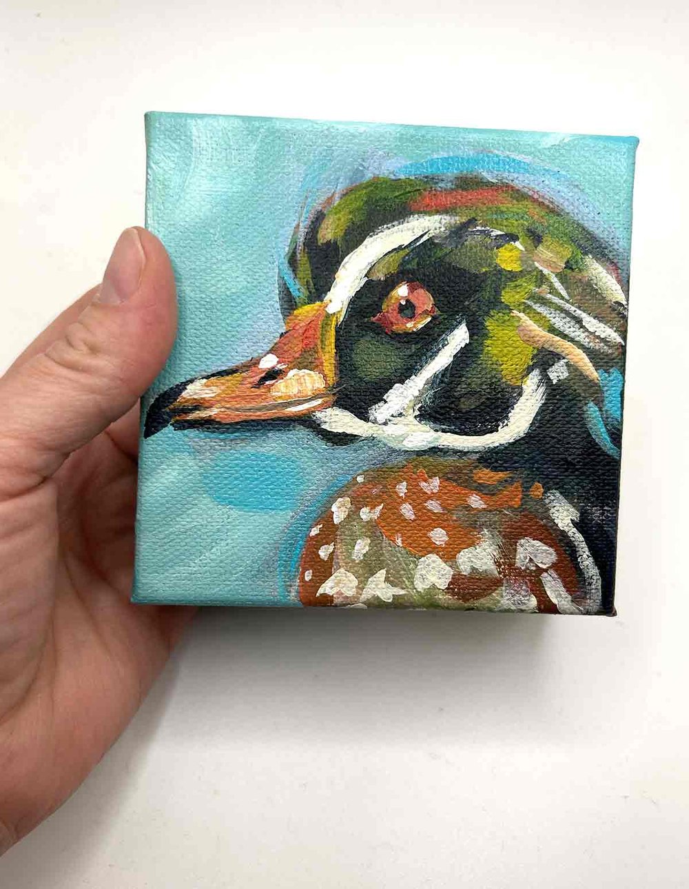River Friend – Male Wood Duck