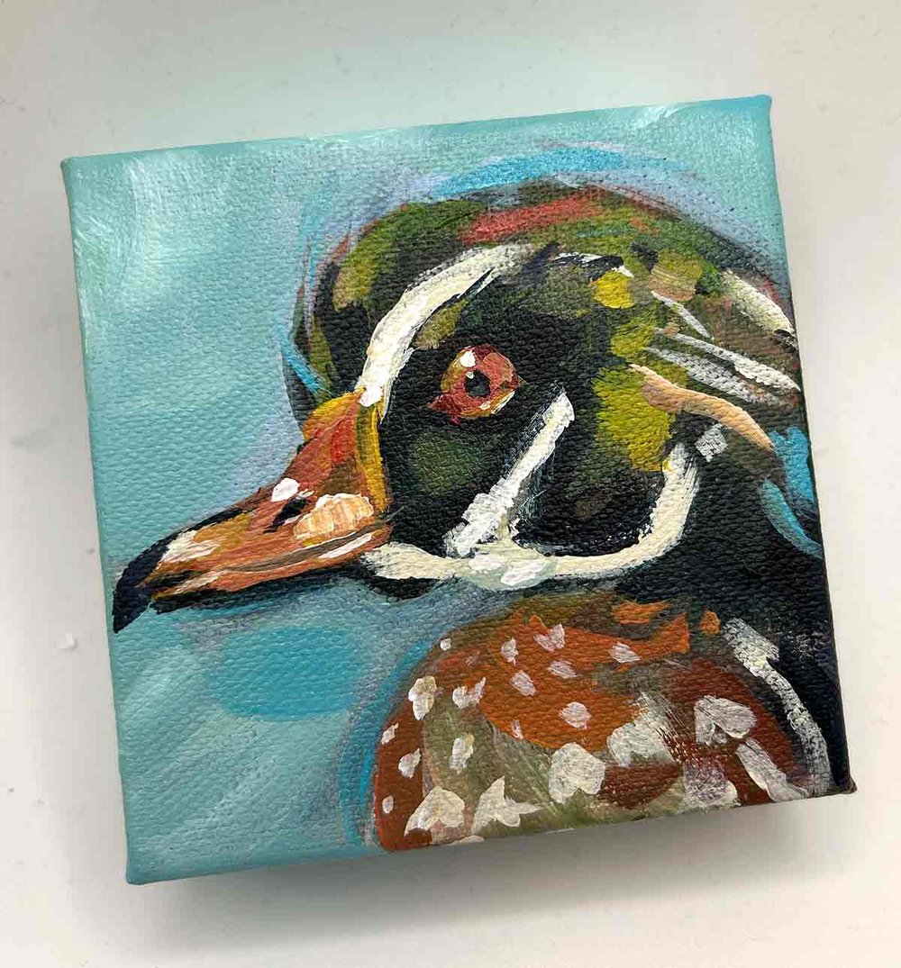 River Friend – Male Wood Duck