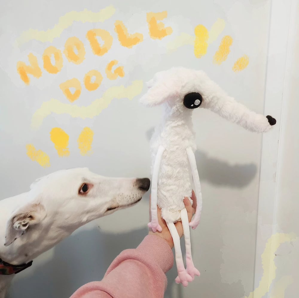 Image of Noodle greyhound