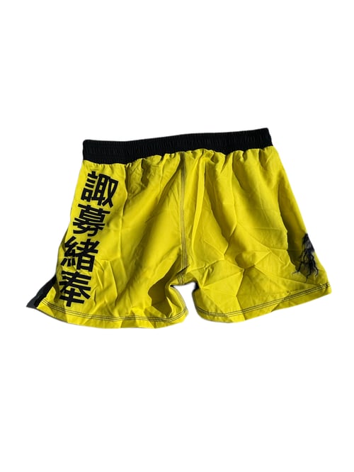 Image of Smoove Lightning High Cut Shorts