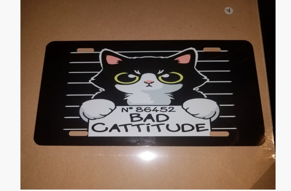 Image of Catitude license plate 