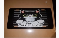 Catitude license plate 