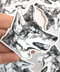 Image of Coyote Sticker