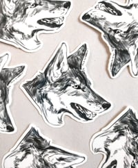 Image of Coyote Sticker