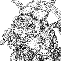 Image 2 of Toad Assassin