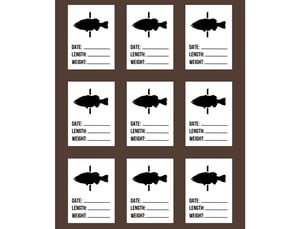 Image of Travel Ready Big Bass Board (BROWN)