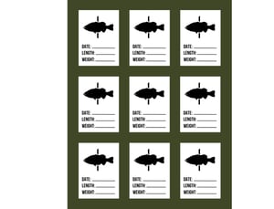 Image of Travel Ready Big Bass Board (GREEN)