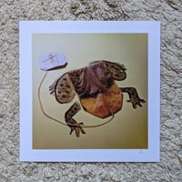 Image 2 of Crazy Frog