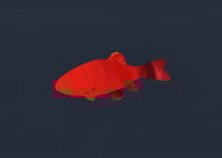 Image 3 of Fish 