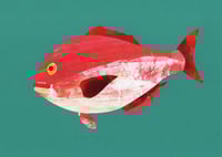 Image 4 of Striped Beakfish, Original Collage Art – Hand-Painted, One-of-a-Kind (220 x 305mm)