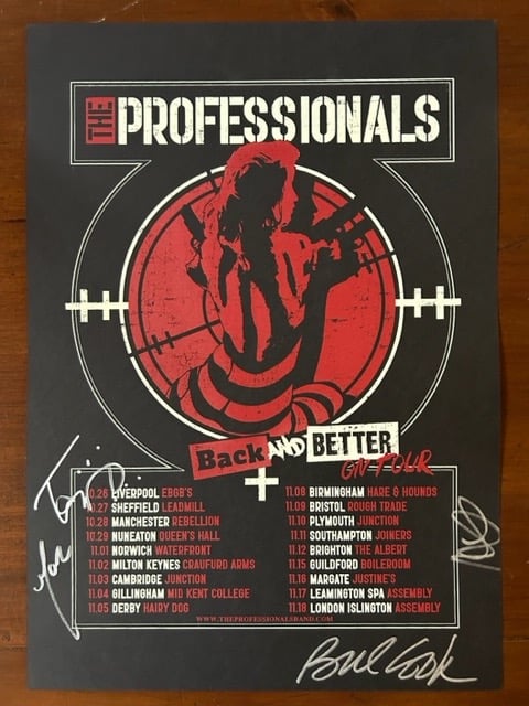 Image of Limited Edition Signed Tour Poster