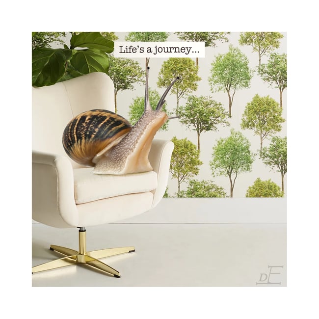 Snailin' It: Life's a journey...