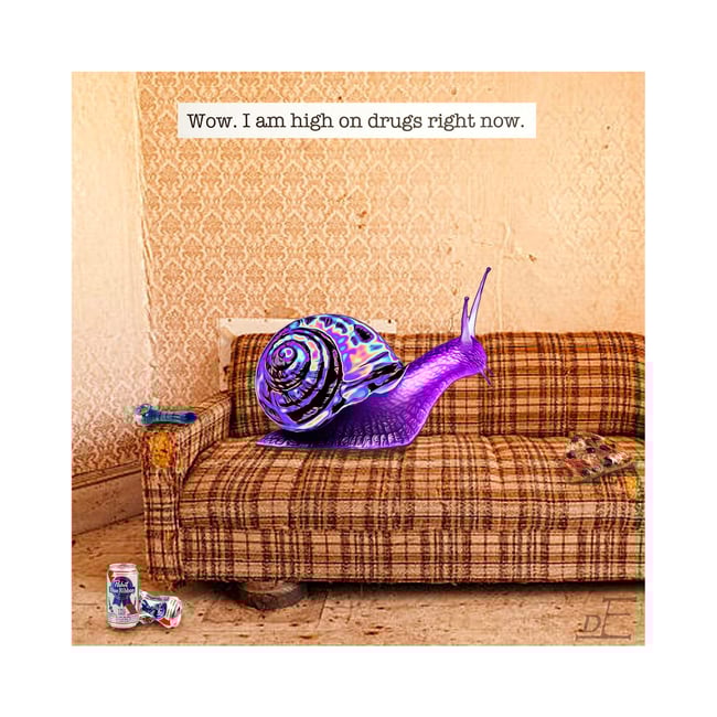 Snailin' It: Wow. I am high on drugs right now.