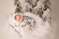 Image 3 of Newborn Snow Babies