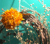 Image 1 of Flax Pods-Sunflower-Brazilian Verbena Wreath | Local Boulder Mkt