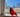 Cardinal 