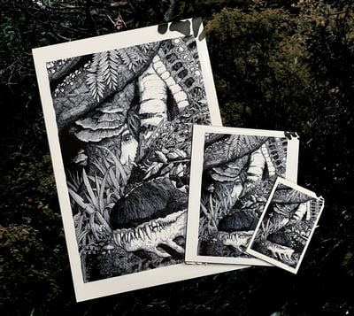 Image of CONCERN Prints