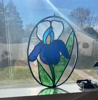 Image 2 of IRIS