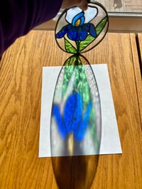 Image 3 of IRIS