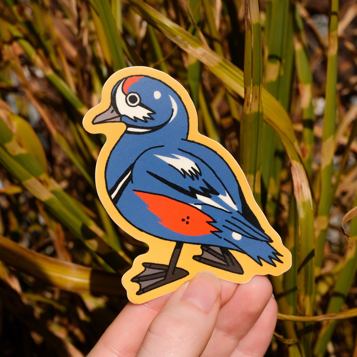 Harlequin Duck Sticker
