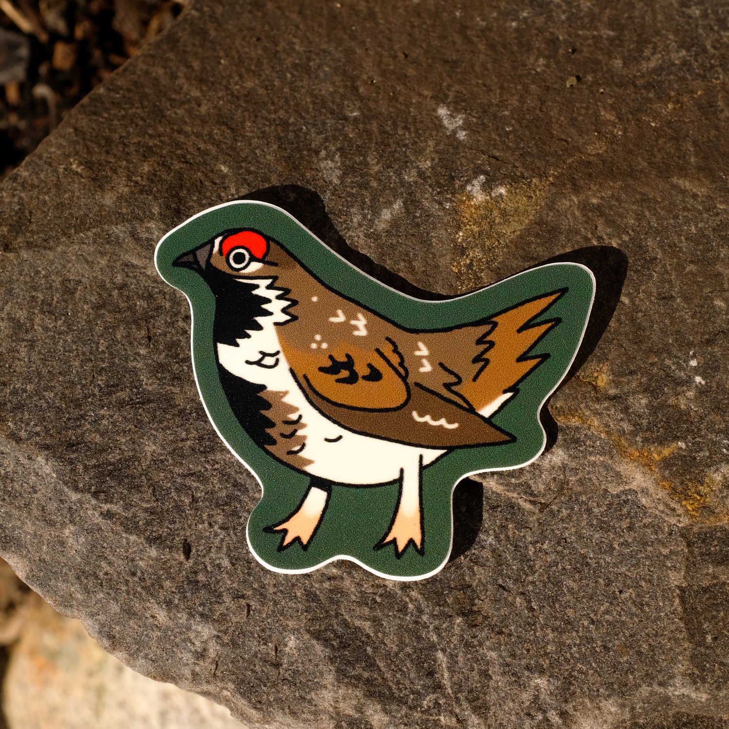 Spruce Grouse Sticker