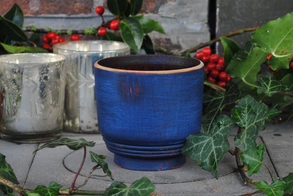 Image of Blue birch end-grain cup II - Tasse en bouleau bleue II