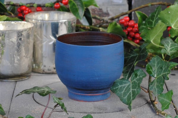 Image of Blue birch end-grain cup I - Tasse en bouleau bleue I