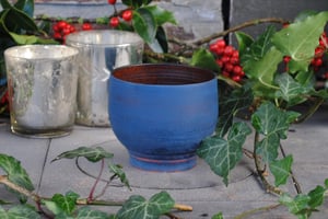 Image of Blue birch end-grain cup I - Tasse en bouleau bleue I