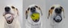BALLS - Limited Edition Giclee Print