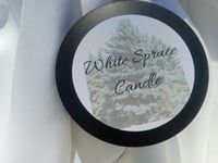 Image 3 of White Spruce