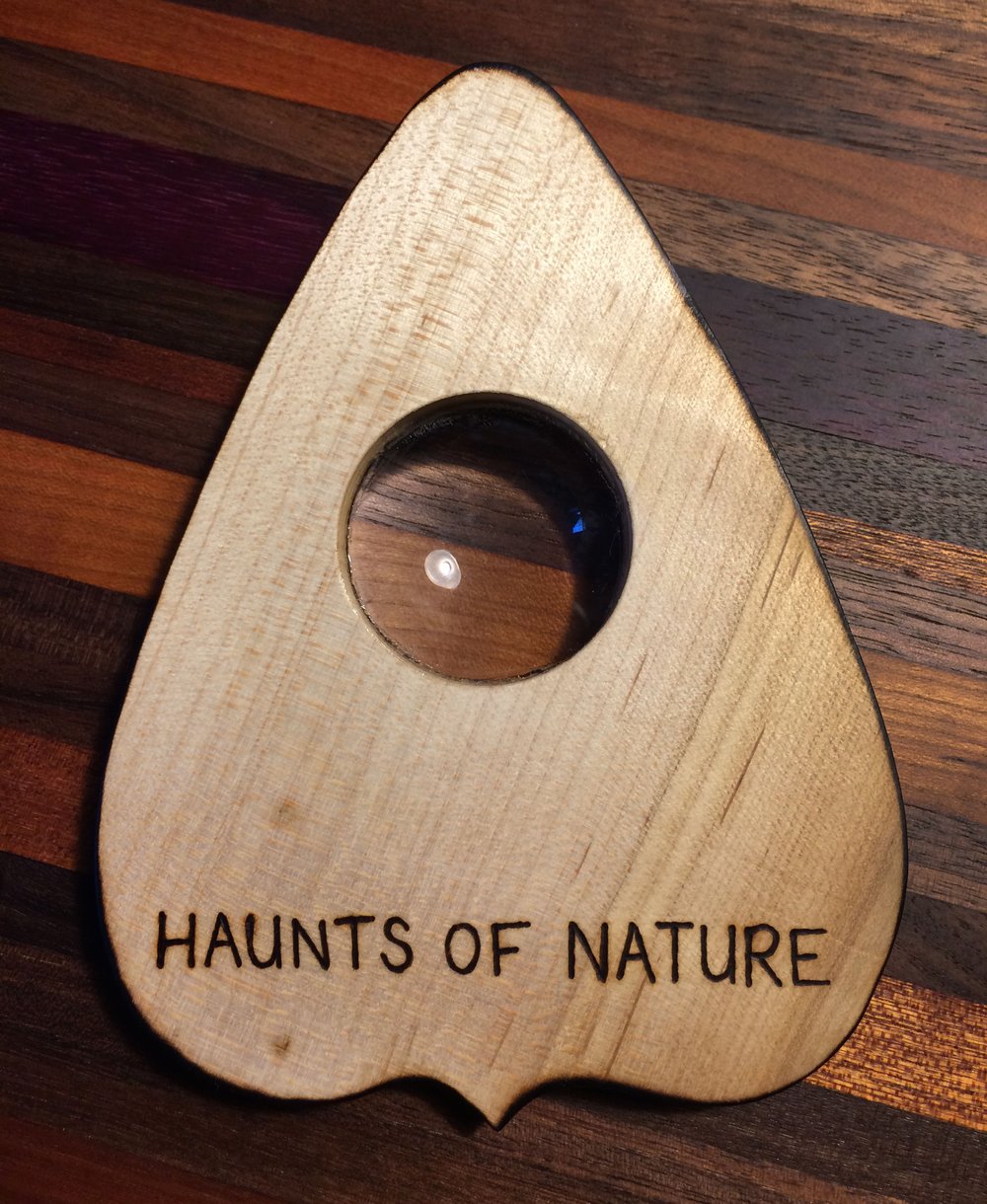 Wood Burned Ouija Planchette: Bee & Honeycombs