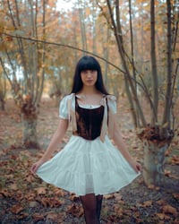 Image 5 of Chestnut Corset