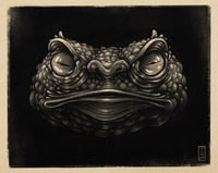 TOAD PRINT